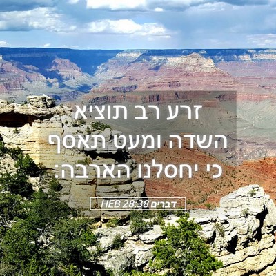 Picture 05 - דברים 28:38 HEB - זרע רב תוציא השדה ומעט תאסף - Bible Verse Picture