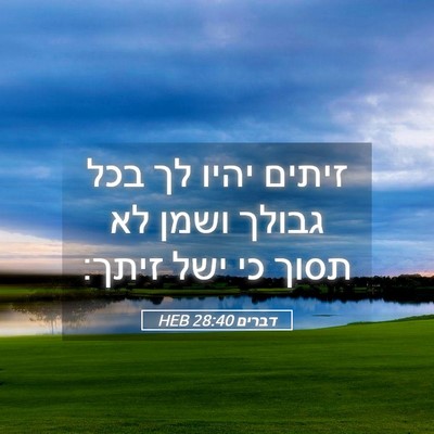 Picture 05 - דברים 28:40 HEB - זיתים יהיו לך בכל גבולך - Bible Verse Picture