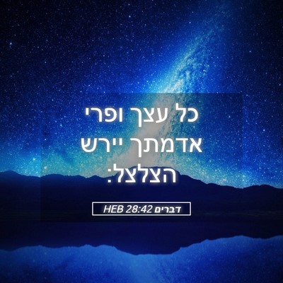 Picture 05 - דברים 28:42 HEB - כל עצך ופרי אדמתך יירש - Bible Verse Picture