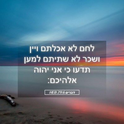 Picture 05 - דברים 29:6 HEB - לחם לא אכלתם ויין ושכר לא - Bible Verse Picture