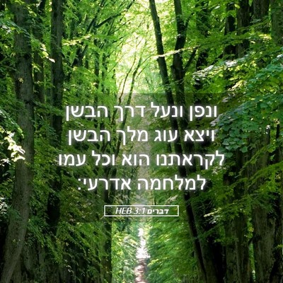 Picture 05 - דברים 3:1 HEB - ונפן ונעל דרך הבשן ויצא עוג - Bible Verse Picture