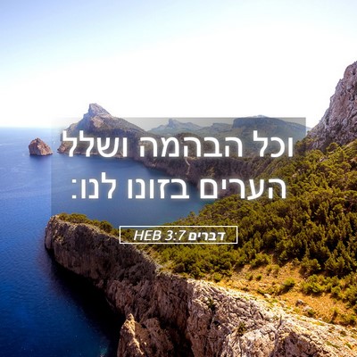 Picture 05 - דברים 3:7 HEB - וכל הבהמה ושלל הערים בזונו - Bible Verse Picture