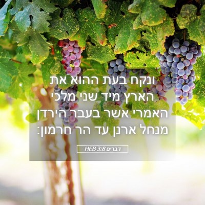 Picture 05 - דברים 3:8 HEB - ונקח בעת ההוא את הארץ מיד - Bible Verse Picture