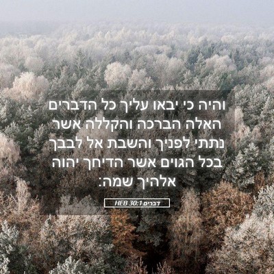Picture 05 - דברים 30:1 HEB - והיה כי יבאו עליך כל הדברים - Bible Verse Picture