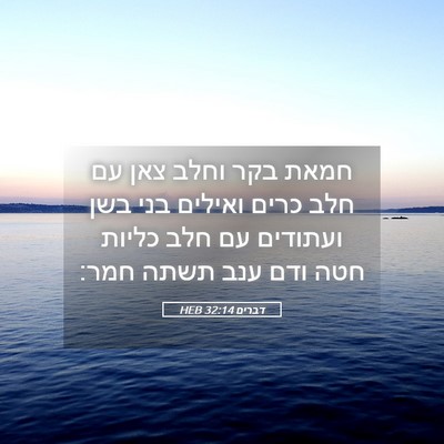 Picture 05 - דברים 32:14 HEB - חמאת בקר וחלב צאן עם חלב - Bible Verse Picture
