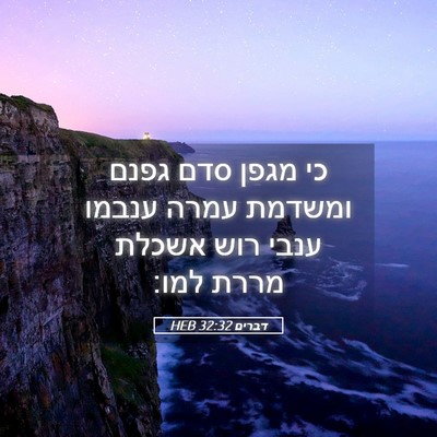 Picture 05 - דברים 32:32 HEB - כי מגפן סדם גפנם ומשדמת - Bible Verse Picture