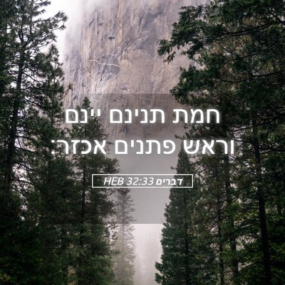 Picture 05 - דברים 32:33 HEB - חמת תנינם יינם וראש פתנים - Bible Verse Picture