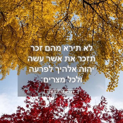 Picture 05 - דברים 7:18 HEB - לא תירא מהם זכר תזכר את אשר - Bible Verse Picture