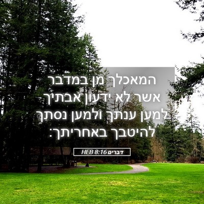 Picture 05 - דברים 8:16 HEB - המאכלך מן במדבר אשר לא - Bible Verse Picture