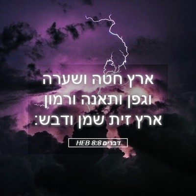 Picture 05 - דברים 8:8 HEB - ארץ חטה ושערה וגפן ותאנה - Bible Verse Picture