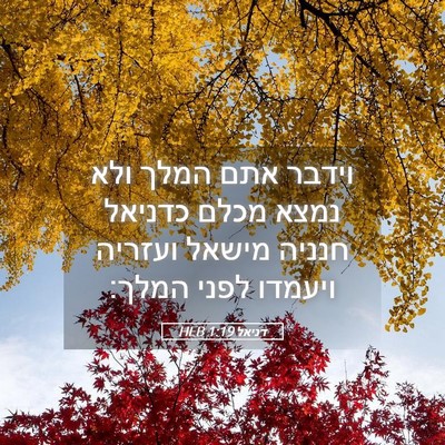 Picture 05 - דניאל 1:19 HEB - וידבר אתם המלך ולא נמצא - Bible Verse Picture