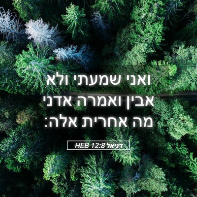 Picture 05 - דניאל 12:8 HEB - ואני שמעתי ולא אבין ואמרה - Bible Verse Picture