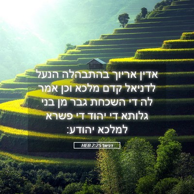 Picture 05 - דניאל 2:25 HEB - אדין אריוך בהתבהלה הנעל - Bible Verse Picture