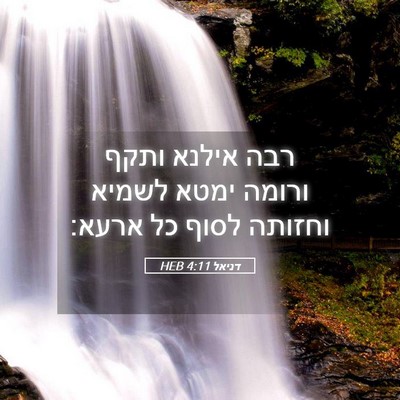 Picture 05 - דניאל 4:11 HEB - רבה אילנא ותקף ורומה ימטא - Bible Verse Picture