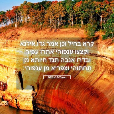 Picture 05 - דניאל 4:14 HEB - קרא בחיל וכן אמר גדו אילנא - Bible Verse Picture