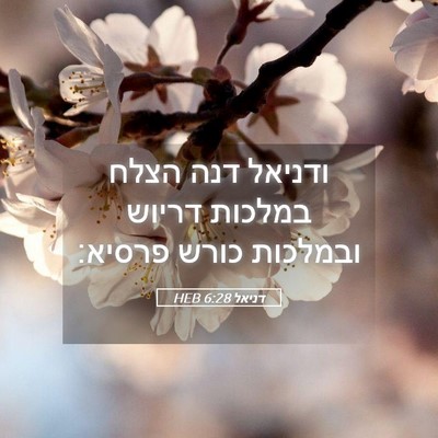 Picture 05 - דניאל 6:28 HEB - ודניאל דנה הצלח במלכות - Bible Verse Picture