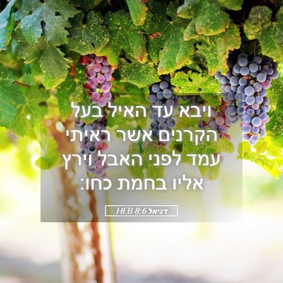 Picture 05 - דניאל 8:6 HEB - ויבא עד האיל בעל הקרנים אשר - Bible Verse Picture
