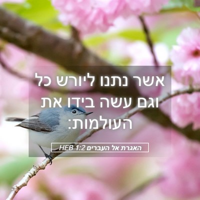 Picture 05 - האגרת אל העברים 1:2 HEB - אשר נתנו ליורש כל וגם עשה - Bible Verse Picture