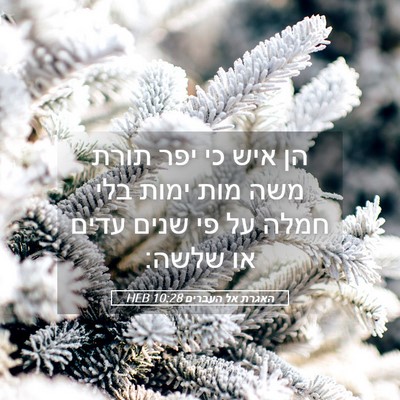 Picture 05 - האגרת אל העברים 10:28 HEB - הן איש כי יפר תורת משה מות - Bible Verse Picture