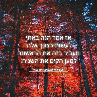 Picture 05 - האגרת אל העברים 10:9 HEB - אז אמר הנה באתי לעשות רצונך - Bible Verse Picture