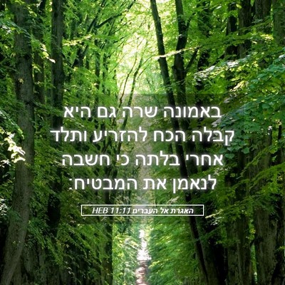 Picture 05 - האגרת אל העברים 11:11 HEB - באמונה שרה גם היא קבלה הכח - Bible Verse Picture