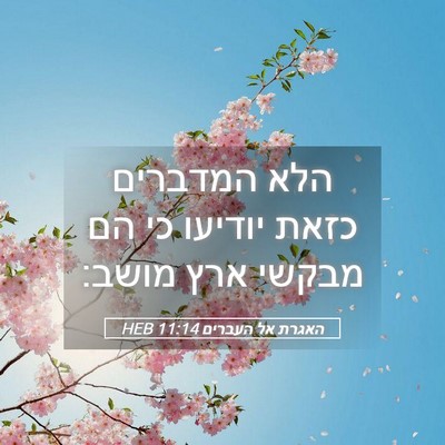 Picture 05 - האגרת אל העברים 11:14 HEB - הלא המדברים כזאת יודיעו כי - Bible Verse Picture