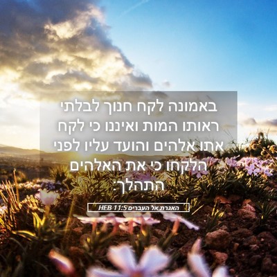 Picture 05 - האגרת אל העברים 11:5 HEB - באמונה לקח חנוך לבלתי - Bible Verse Picture