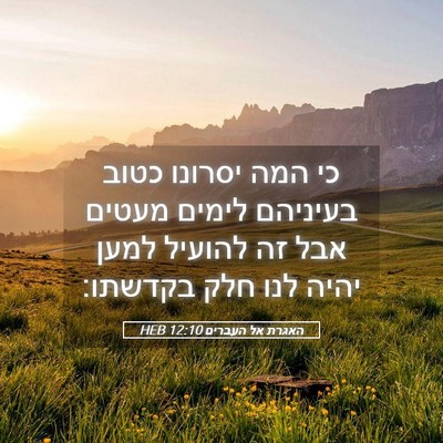 Picture 05 - האגרת אל העברים 12:10 HEB - כי המה יסרונו כטוב בעיניהם - Bible Verse Picture