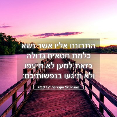 Picture 05 - האגרת אל העברים 12:3 HEB - התבוננו אליו אשר נשא כלמת - Bible Verse Picture
