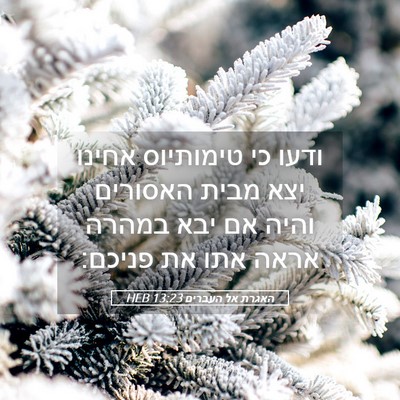 Picture 05 - האגרת אל העברים 13:23 HEB - ודעו כי טימותיוס אחינו יצא - Bible Verse Picture