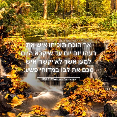 Picture 05 - האגרת אל העברים 3:13 HEB - אך הוכח תוכיחו איש את רעהו - Bible Verse Picture
