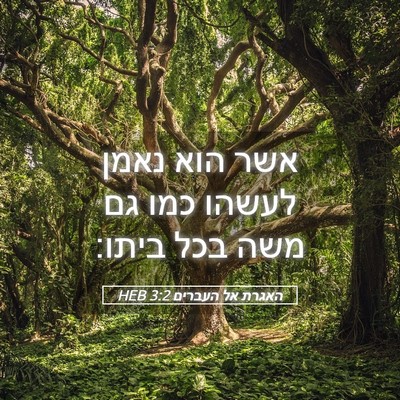 Picture 05 - האגרת אל העברים 3:2 HEB - אשר הוא נאמן לעשהו כמו גם - Bible Verse Picture