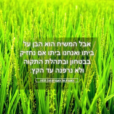 Picture 05 - האגרת אל העברים 3:6 HEB - אבל המשיח הוא הבן על ביתו - Bible Verse Picture