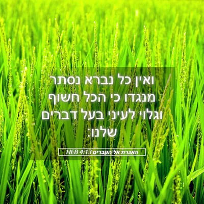 Picture 05 - האגרת אל העברים 4:13 HEB - ואין כל נברא נסתר מנגדו כי - Bible Verse Picture