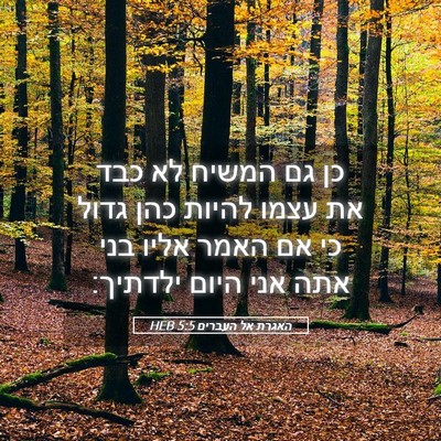 Picture 05 - האגרת אל העברים 5:5 HEB - כן גם המשיח לא כבד את עצמו - Bible Verse Picture