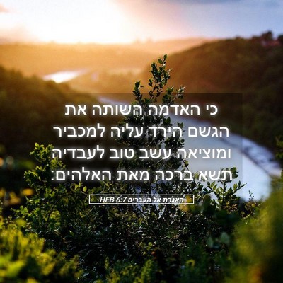 Picture 05 - האגרת אל העברים 6:7 HEB - כי האדמה השותה את הגשם הירד - Bible Verse Picture