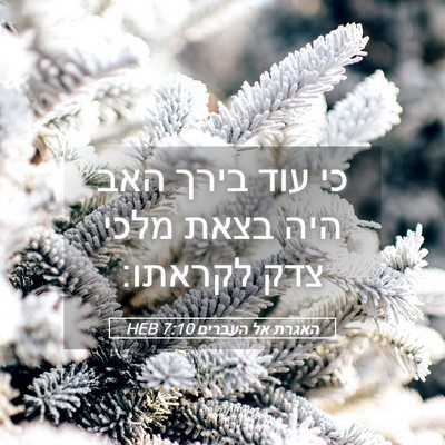 Picture 05 - האגרת אל העברים 7:10 HEB - כי עוד בירך האב היה בצאת - Bible Verse Picture