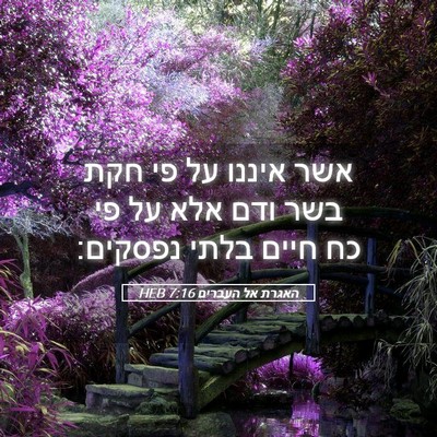 Picture 05 - האגרת אל העברים 7:16 HEB - אשר איננו על פי חקת בשר ודם - Bible Verse Picture
