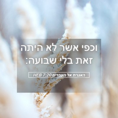 Picture 05 - האגרת אל העברים 7:20 HEB - וכפי אשר לא היתה זאת בלי - Bible Verse Picture