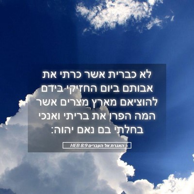 Picture 05 - האגרת אל העברים 8:9 HEB - לא כברית אשר כרתי את אבותם - Bible Verse Picture