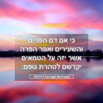 Picture 05 - האגרת אל העברים 9:13 HEB - כי אם דם הפרים והשעירים - Bible Verse Picture