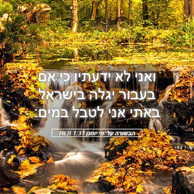 Picture 05 - הבשורה על־פי יוחנן 1:31 HEB - ואני לא ידעתיו כי אם בעבור - Bible Verse Picture