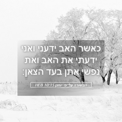 Picture 05 - הבשורה על־פי יוחנן 10:15 HEB - כאשר האב ידעני ואני ידעתי - Bible Verse Picture