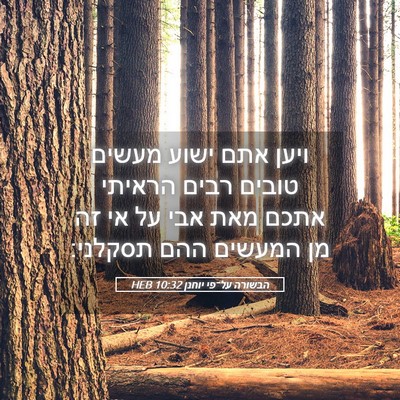 Picture 05 - הבשורה על־פי יוחנן 10:32 HEB - ויען אתם ישוע מעשים טובים - Bible Verse Picture