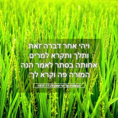 Picture 05 - הבשורה על־פי יוחנן 11:28 HEB - ויהי אחר דברה זאת ותלך - Bible Verse Picture