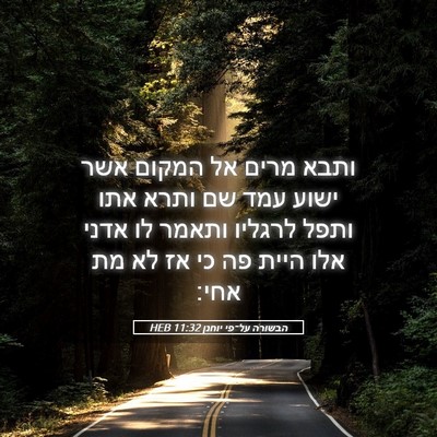 Picture 05 - הבשורה על־פי יוחנן 11:32 HEB - ותבא מרים אל המקום אשר ישוע - Bible Verse Picture