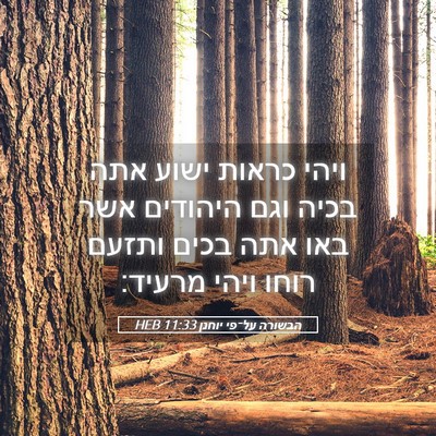 Picture 05 - הבשורה על־פי יוחנן 11:33 HEB - ויהי כראות ישוע אתה בכיה - Bible Verse Picture