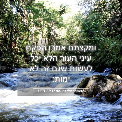 Picture 05 - הבשורה על־פי יוחנן 11:37 HEB - ומקצתם אמרו הפקח עיני העור - Bible Verse Picture