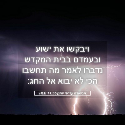 Picture 05 - הבשורה על־פי יוחנן 11:56 HEB - ויבקשו את ישוע ובעמדם בבית - Bible Verse Picture