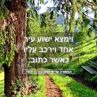 Picture 05 - הבשורה על־פי יוחנן 12:14 HEB - וימצא ישוע עיר אחד וירכב - Bible Verse Picture